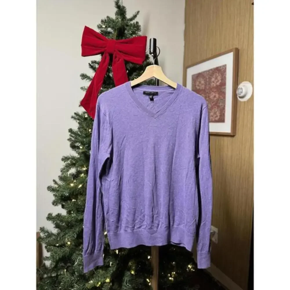 Men's Purple V-Neck Sweater